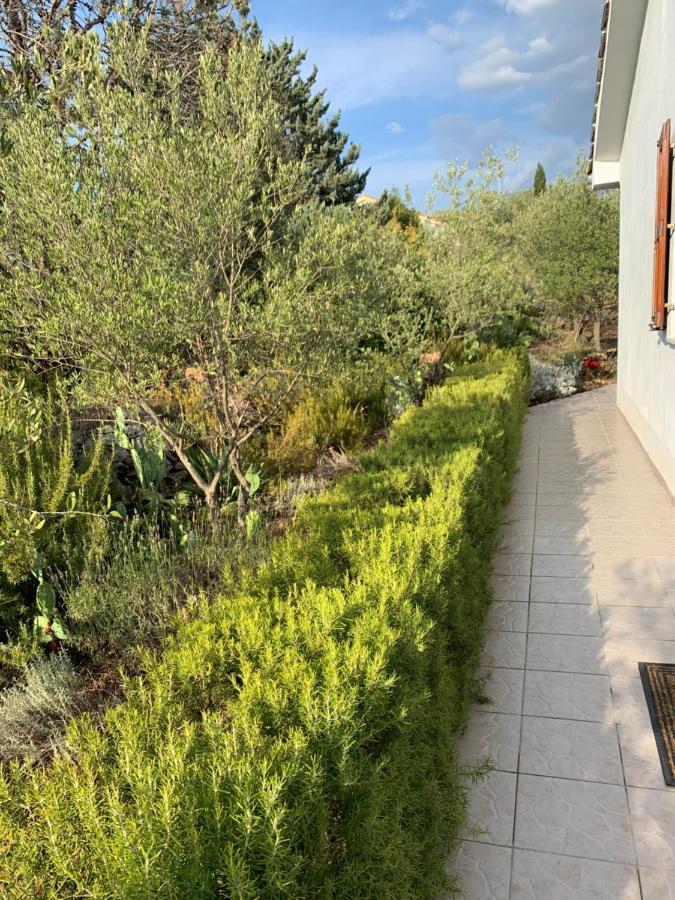 Apartman Ruza Brzac Kültér fotó